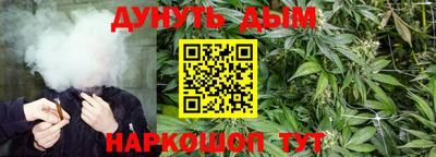 тгк Новокубанск