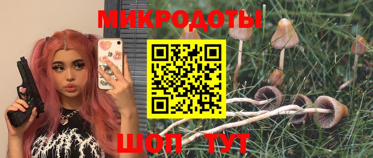 Галлюциногенные грибы Magic Shrooms Сосновоборск