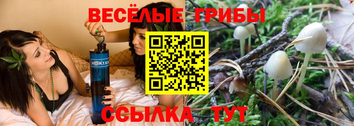Галлюциногенные грибы Magic Shrooms  где можно купить   Вход с VPN  Сосновоборск  Псилоцибиновые грибы GOLDEN TEACHER 
